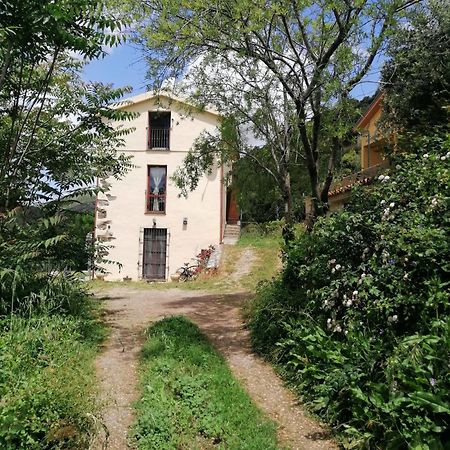 Stellaria Casa Vacanze In Montagna Panorama Stupendo Sardegna Seùlo Exterior foto