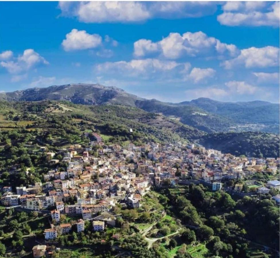 Stellaria Casa Vacanze In Montagna Panorama Stupendo Sardegna Seùlo Exterior foto