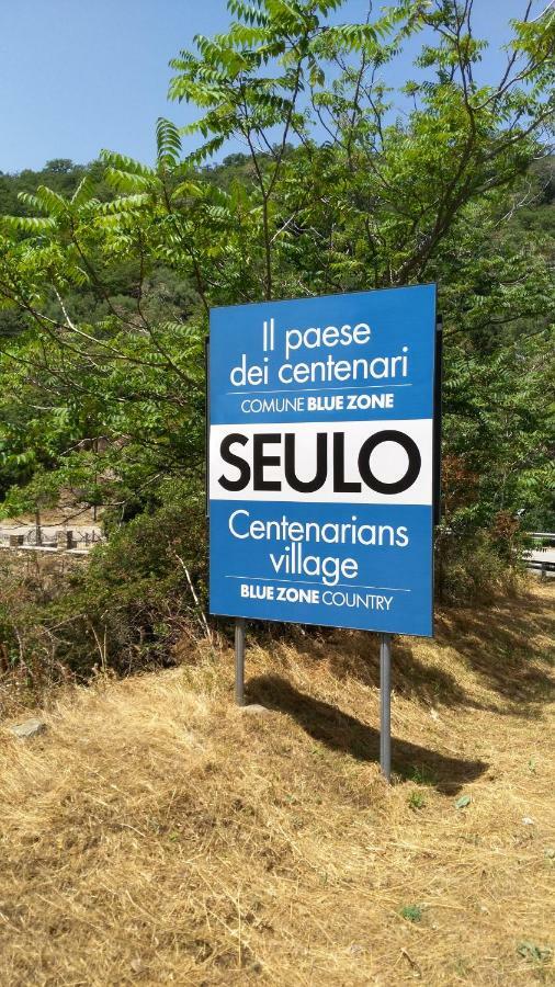 Stellaria Casa Vacanze In Montagna Panorama Stupendo Sardegna Seùlo Exterior foto