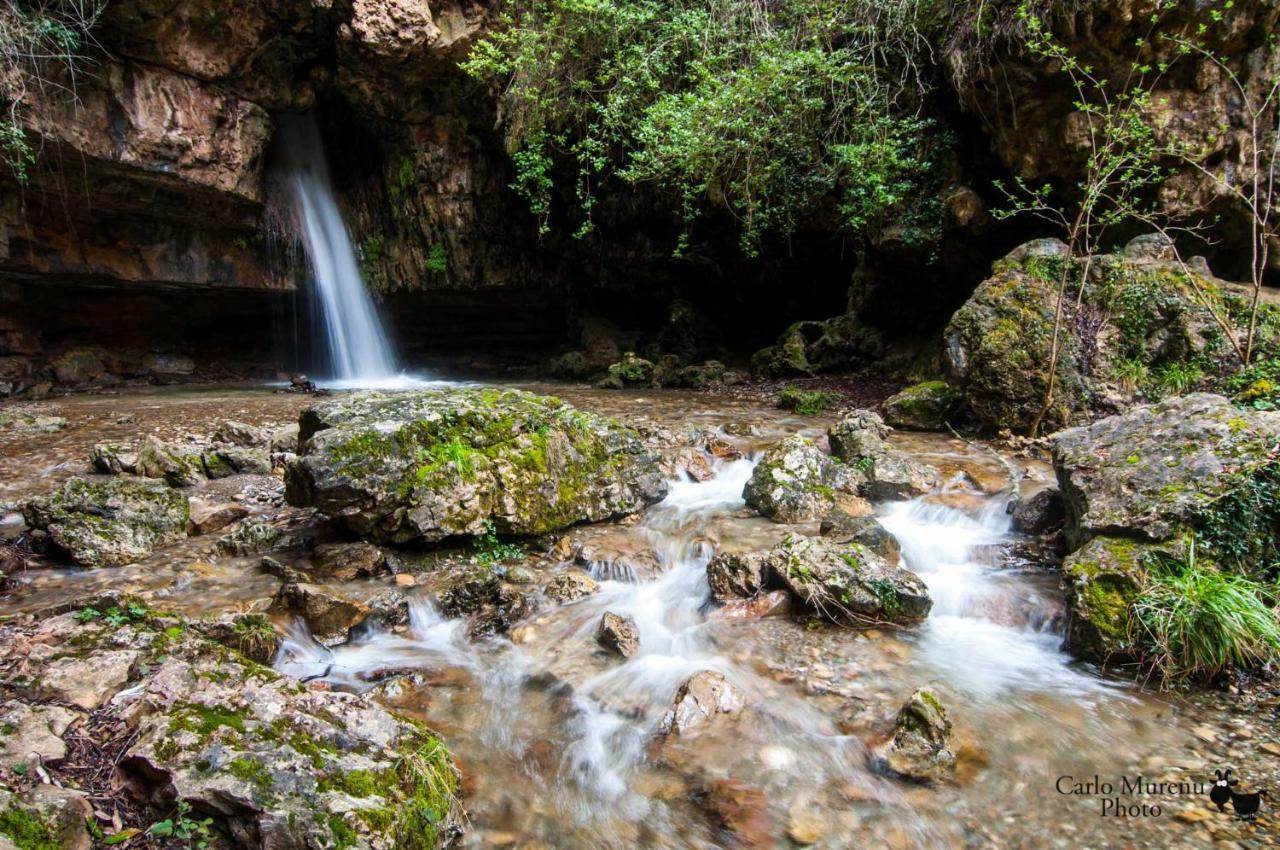 Stellaria Casa Vacanze In Montagna Panorama Stupendo Sardegna Seùlo Exterior foto